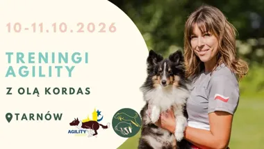 Treningi Agility z Olą Kordas w Tarnowie